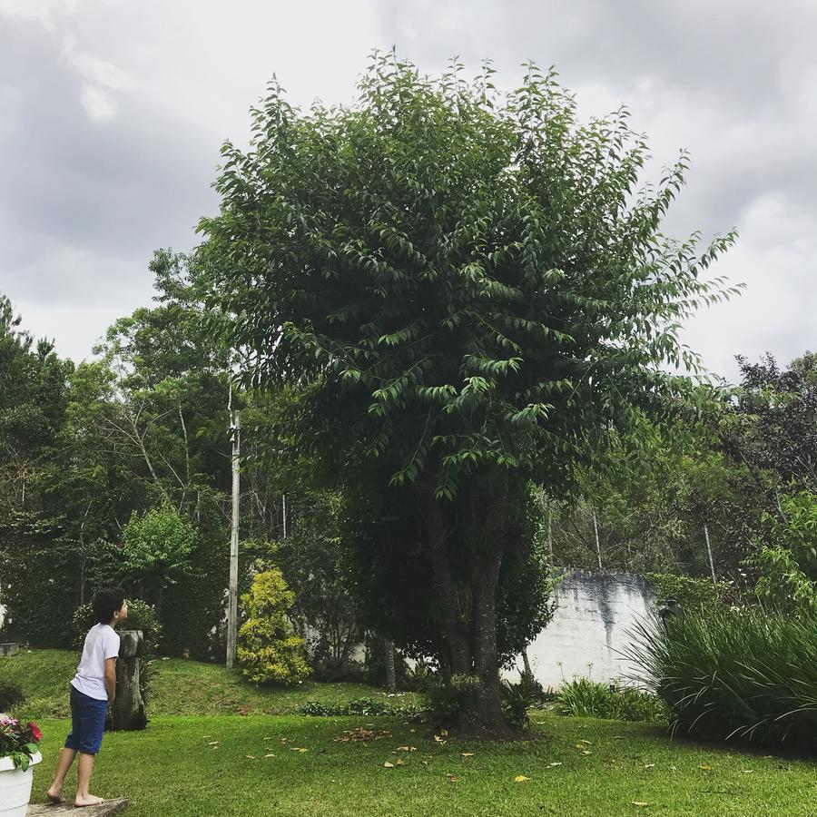 Pousada Recanto Castelinho Campos do Jordão Eksteriør bilde