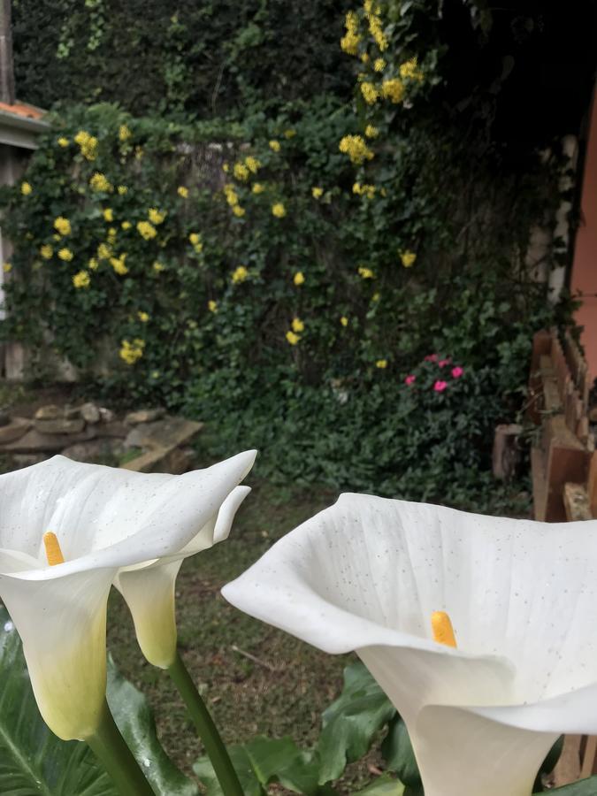 Pousada Recanto Castelinho Campos do Jordão Eksteriør bilde